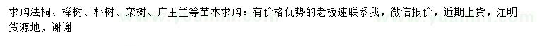 求购法桐、榉树、朴树等