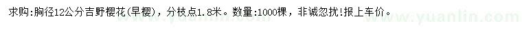 求购胸径12公分吉野樱花（早樱）