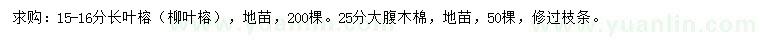 求购15-16公分长叶榕（柳叶榕）、25公分大腹木棉