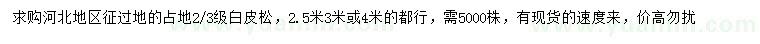 求购2.5、3、4米白皮松