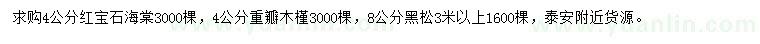 求购红宝石海棠、重瓣木槿、黑松