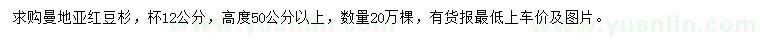 求购高50公分以上曼地亚红豆杉