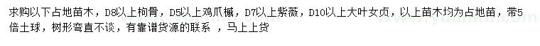 求购枸骨、鸡爪槭、紫薇等