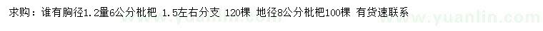 求购胸径1.2量6公分、地径8公分枇杷