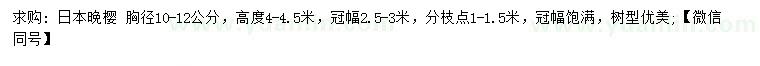 求购胸径10-12公分日本晚樱