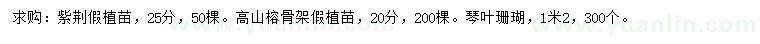 求购紫荆、高山榕、琴叶珊瑚