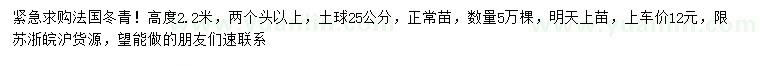 求购高2.2米法国冬青