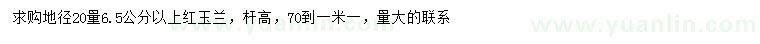 求购地径20量6.5公分以上红玉兰