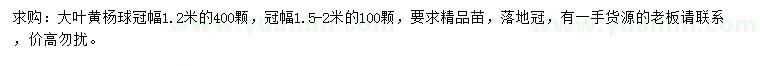 求购冠幅1.2、1.5-2米大叶黄杨