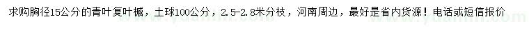 求购胸径15公分青叶复叶槭