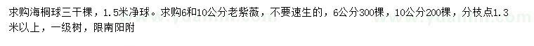 求购海桐球、6、10公分老紫薇