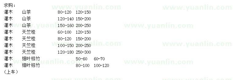 求购山茶、天竺桂、细叶棕竹