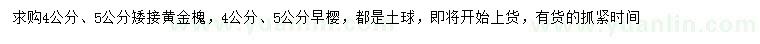 求购4、5公分矮接黄金槐、樱