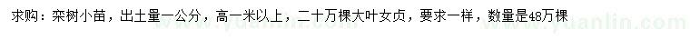 求购1公分栾树、大叶女贞