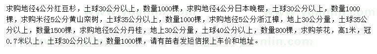 求购红豆杉、日本晚樱、黄山栾等