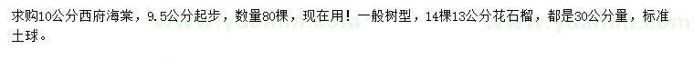 求购30公分量10公分西府海棠、13公分花石榴