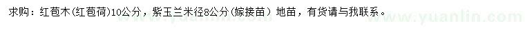 求购10公分红苞木、米径8公分紫玉兰