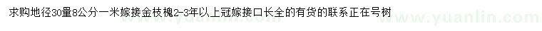 求购地径30公分量8公分金枝槐