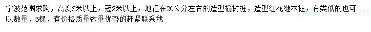 求购地径20公分左右造型榆树桩、造型红花继木桩