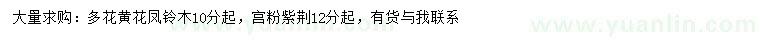 求购10公分以上多花黄花凤铃木、12公分以上宫粉紫荆