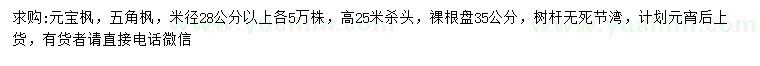 求购米径28公分以上元宝枫，五角枫