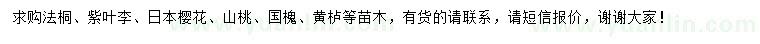 求购法桐、紫叶李、日本樱花等