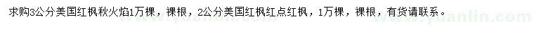 求购3公分美国红枫秋火焰、2公分美国红枫红点红枫