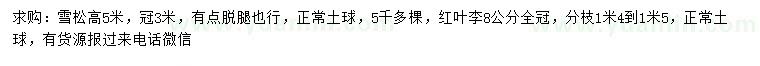 求购高5米雪松、8公分红叶李