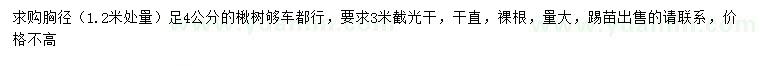 求购1.2米量胸径足4公分楸树