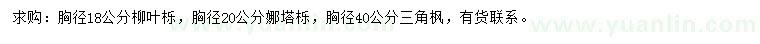 求购柳叶栎、娜塔栎、三角枫