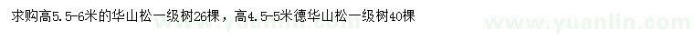 求购高4.5-5、5.5-6米华山松