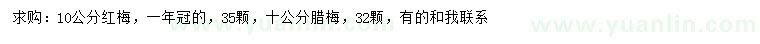 求购10公分红梅、腊梅