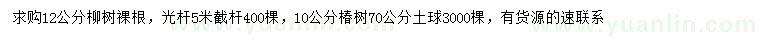 求购12公分柳树、10公分椿树