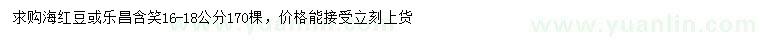 求购16-18公分海红豆或乐昌含笑