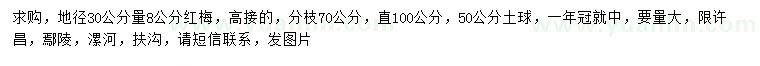 求购地径30公分量8公分红梅