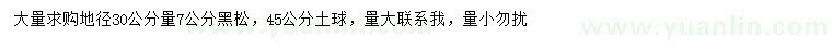 求购地径30公分量7公分黑松