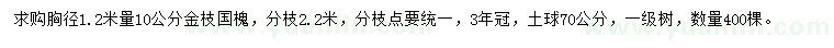 求购胸径1.2米量10公分金枝国槐