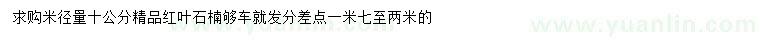 求购米径10公分精品红叶石楠