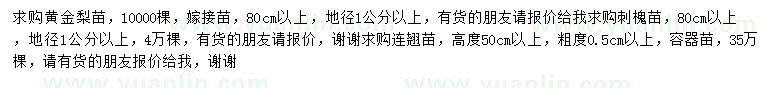 求购黄金梨苗、刺槐苗、连翘苗