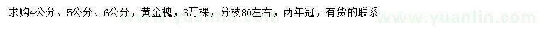 求购4、5、6公分黄金槐