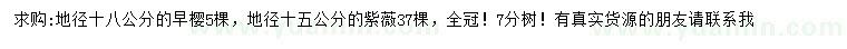 求购地径18公分早樱、15公分紫薇