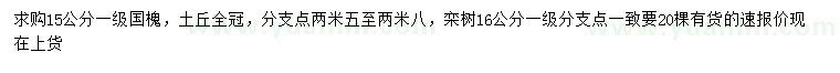 求购15公分国槐、16公分栾树