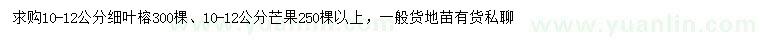 求购10-12公分细叶榕、芒果