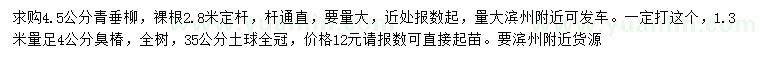 求购4.5公分青垂柳、1.3米量4公分臭椿