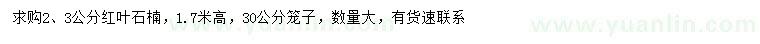 求购2、3公分红叶石楠