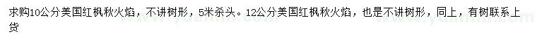 求购10、12公分美国红枫秋火焰