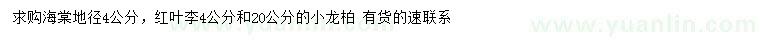 求购海棠、红叶李、小龙柏