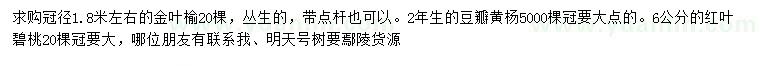 求购金叶榆、豆瓣黄杨、红叶碧桃