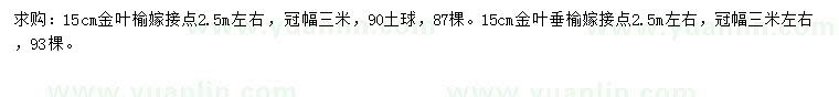 求购15公分金叶榆、金叶垂榆