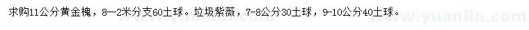 求购11公分黄金槐、7-8、9-10公分垃圾紫薇